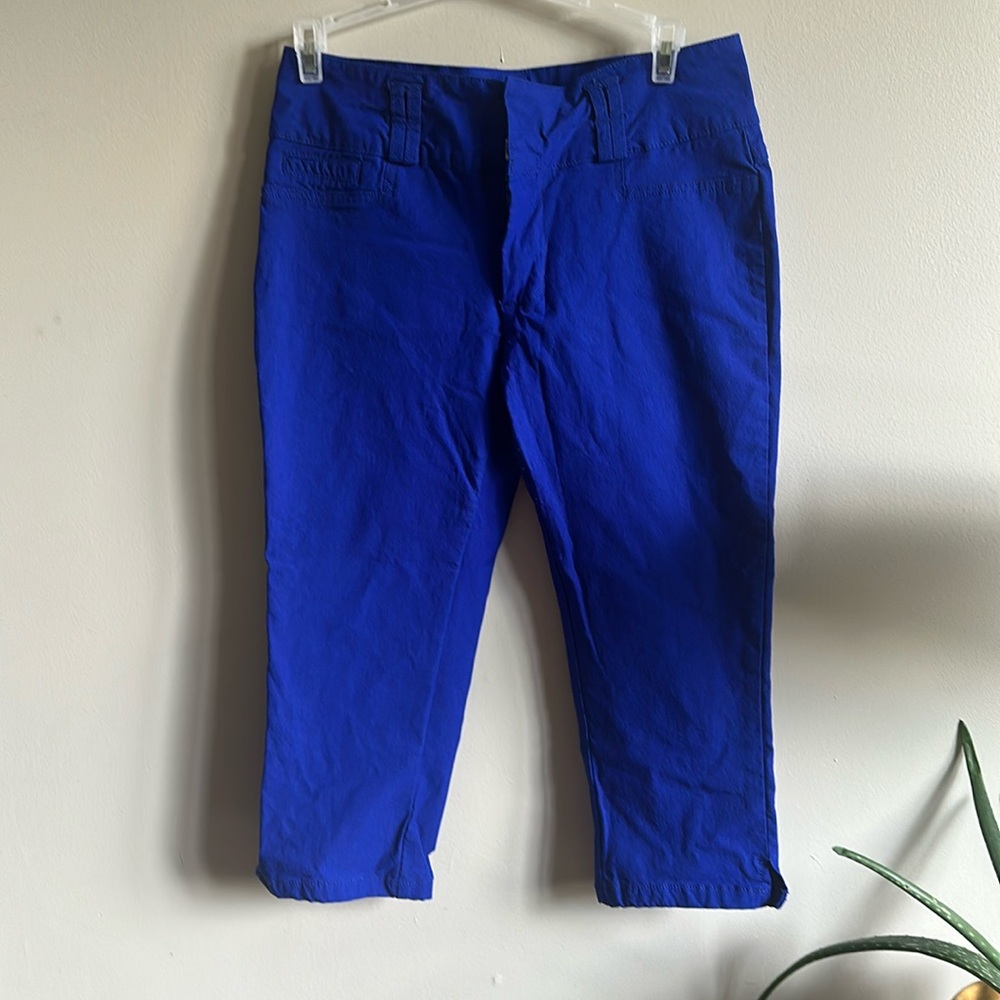 Stretchy capris